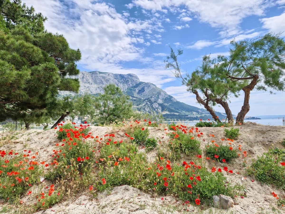 Apartman River Breeze Omiš Eksteriør bilde